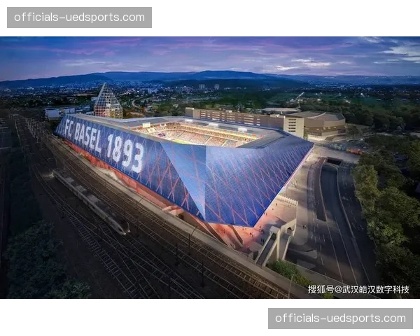 市场规范化程度达历史高位 体育经纪服务进入重塑期